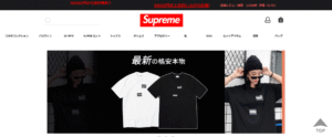 Supremeの偽サイト 2019年3月6日収集