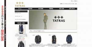 偽サイト　サンプル