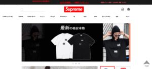 偽サイト サンプル