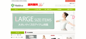 偽サイト サンプル